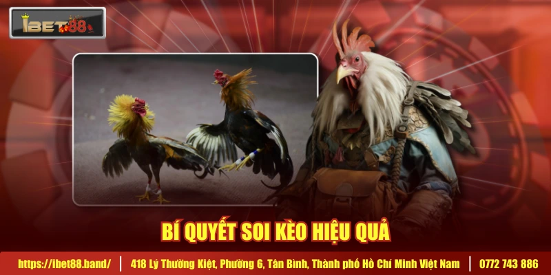 Bí quyết soi kèo hiệu quả