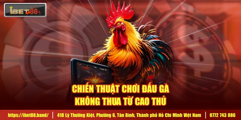 Chiến thuật chơi đấu gà không thua từ cao thủ
