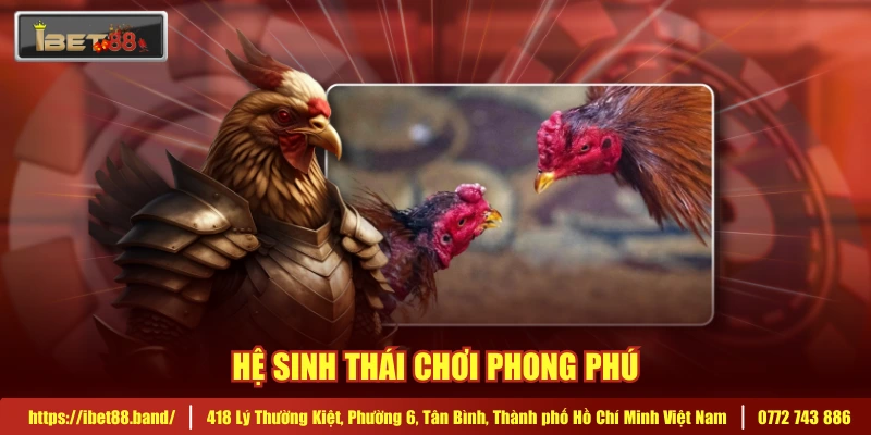 Hệ sinh thái chơi phong phú