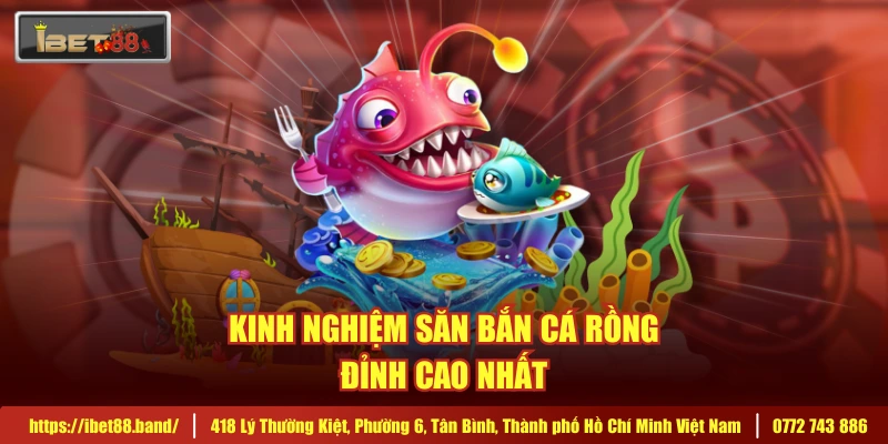 Kinh nghiệm săn bắn cá rồng đỉnh cao nhất 