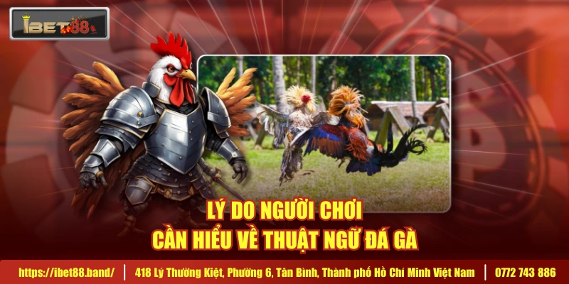Lý do người chơi cần hiểu về thuật ngữ đá gà