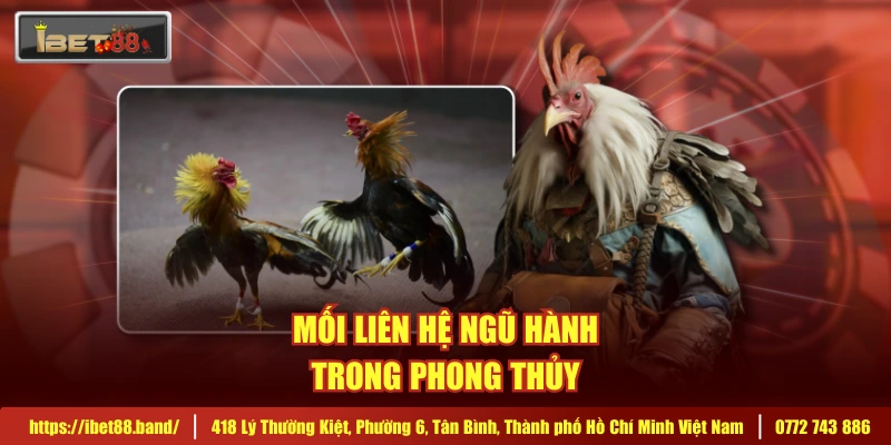 Mối liên hệ ngũ hành trong phong thủy