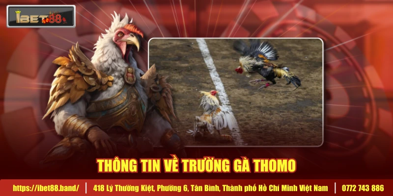 Thông tin về trường gà Thomo