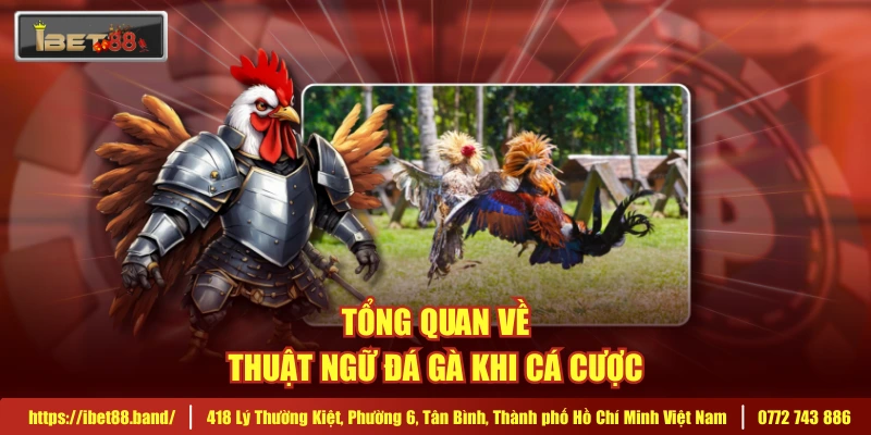 Tổng quan về thuật ngữ đá gà khi cá cược