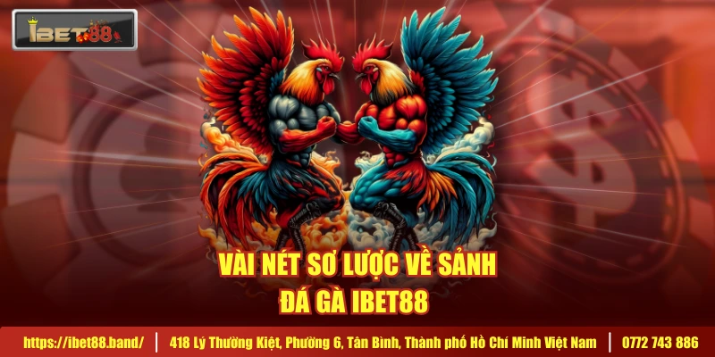Vài nét sơ lược về sảnh đá gà IBET88 